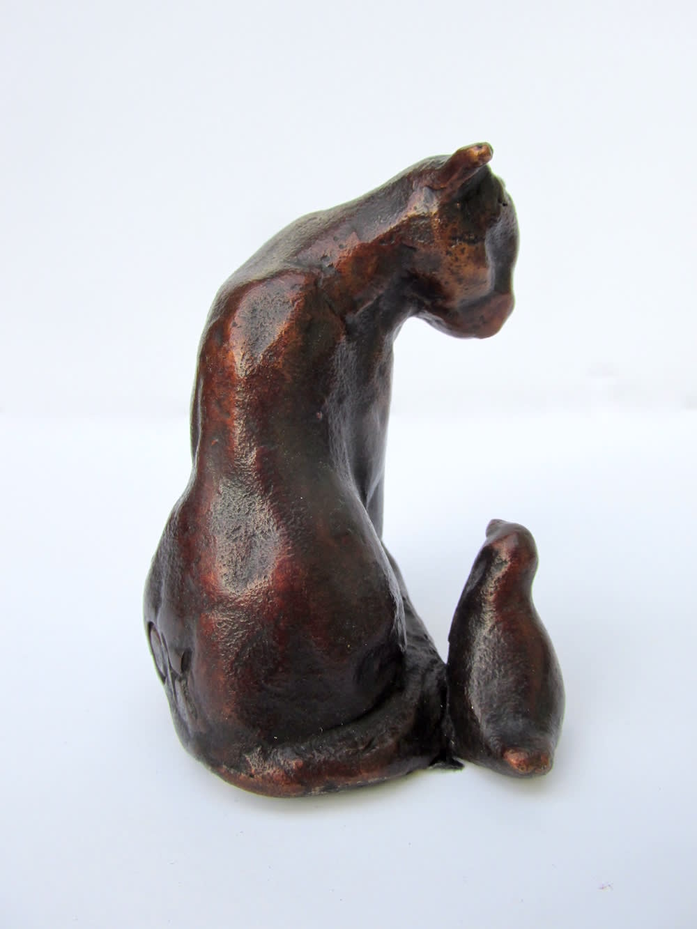 Stephanie Hess, Conversation