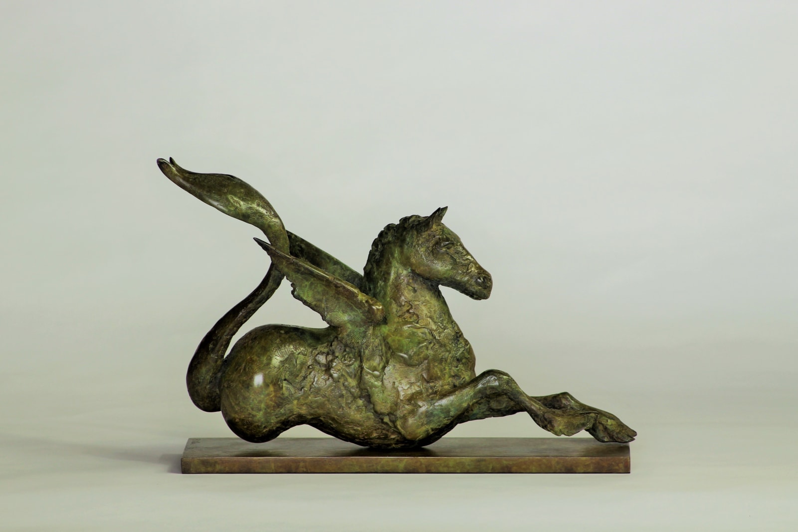 Peter Killeen, Hippocampus