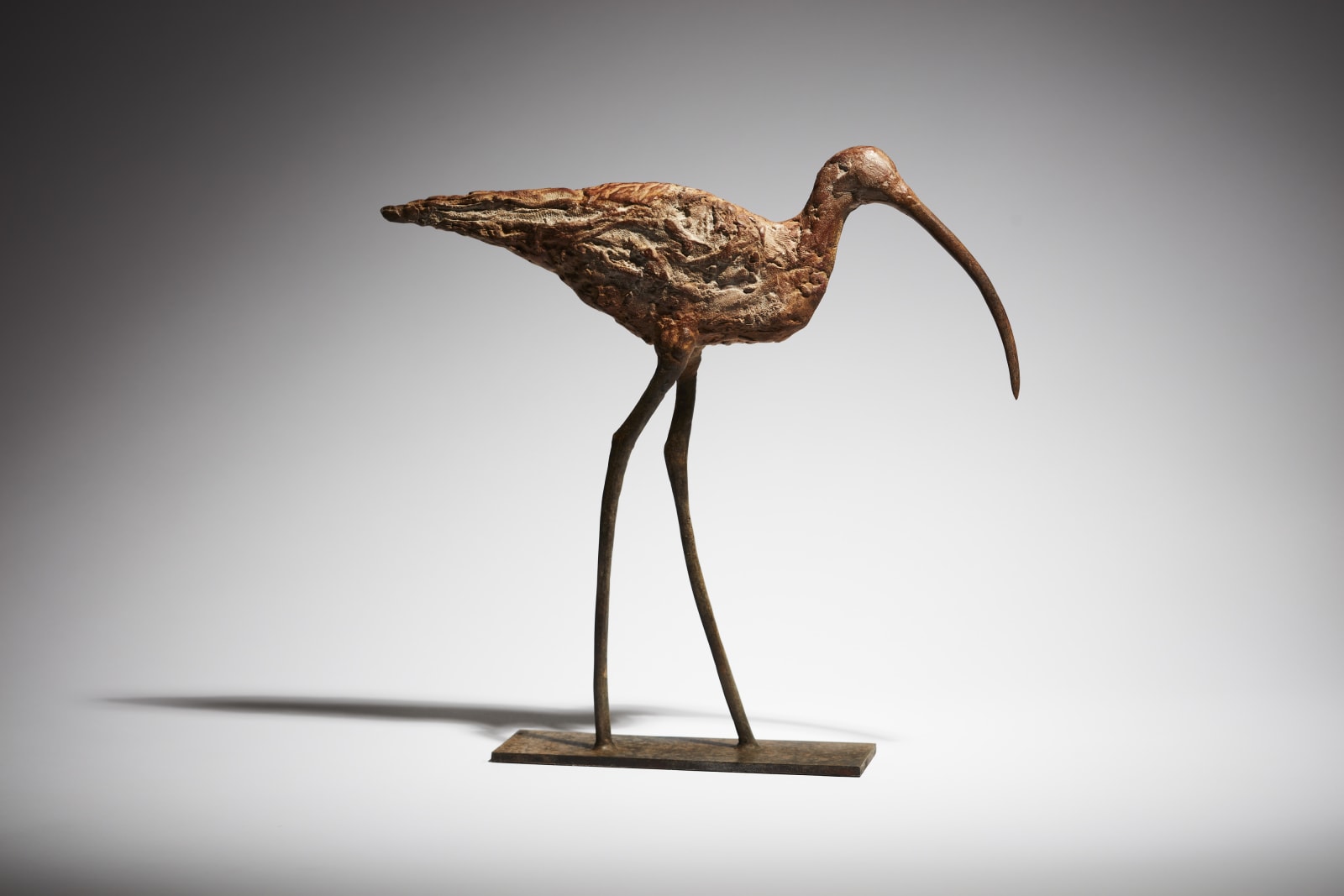 Cheryl Brown, Curlew
