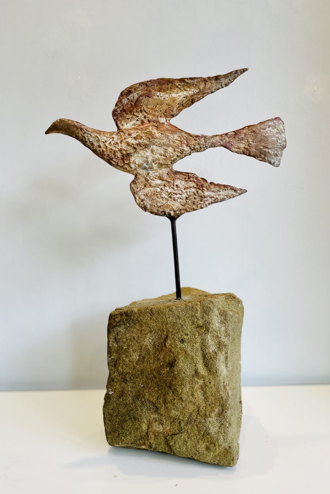 Cheryl Brown, Test Flight