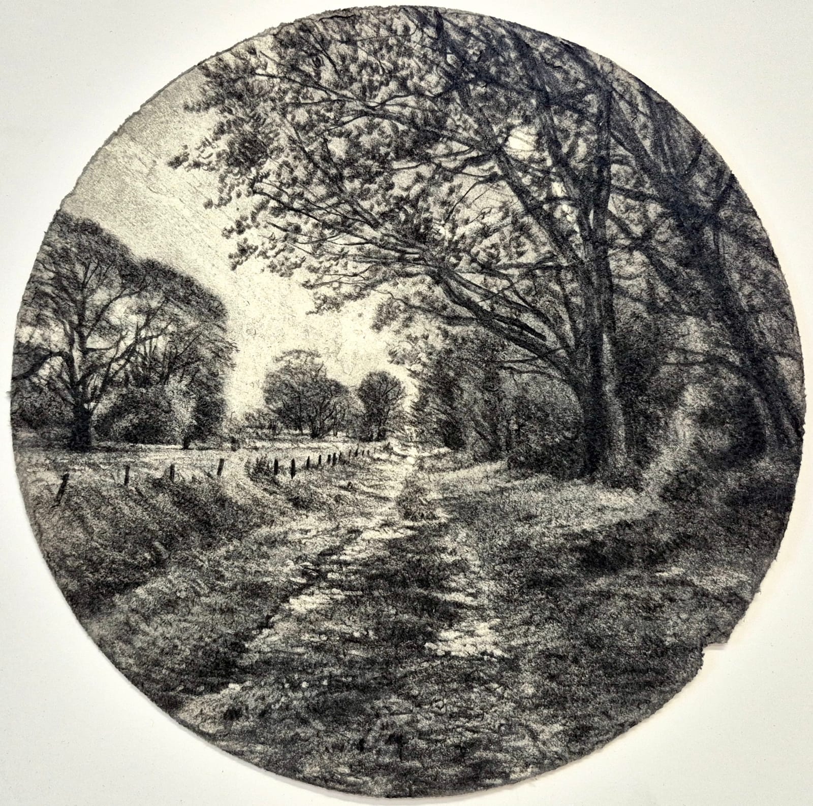 Michael Wann, Summer Avenue 1, 2025