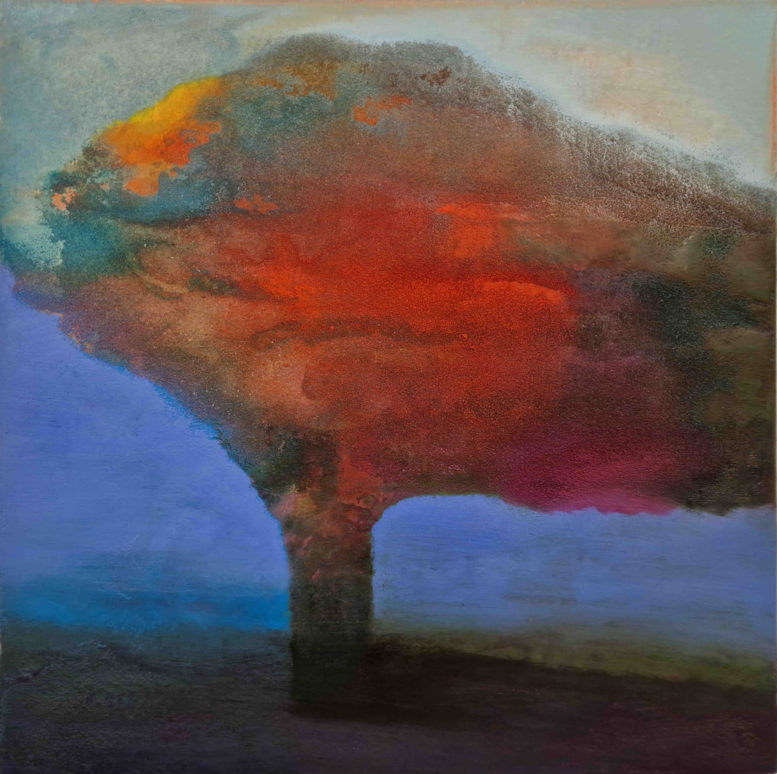 Tom Climent, Elder Tree, 2025