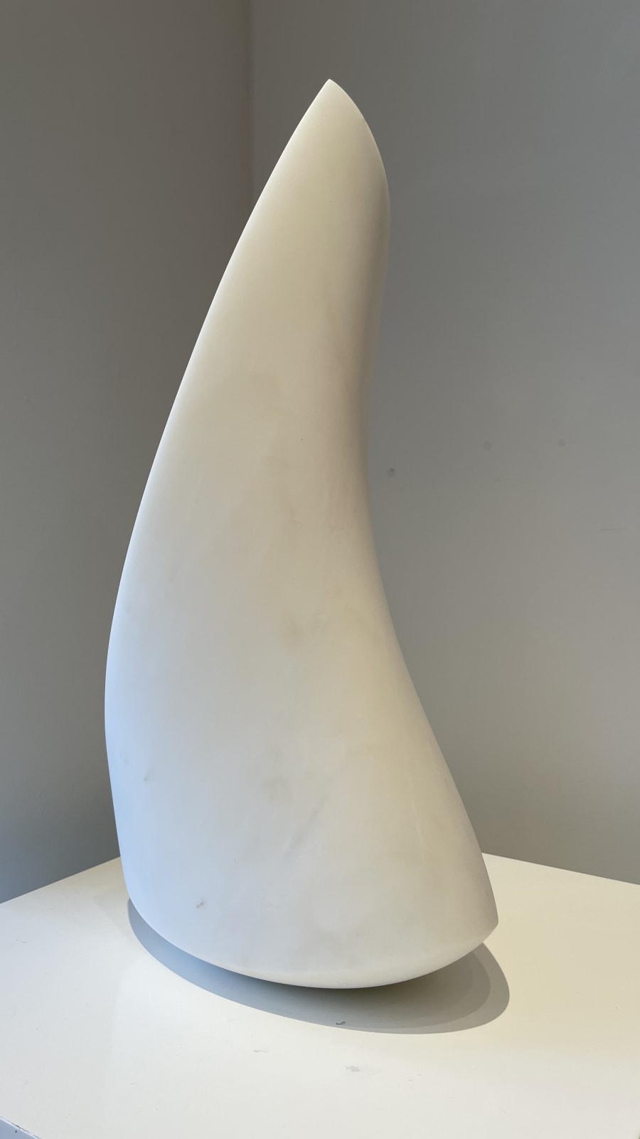 Eilis O'Connell RHA, Thornmorph