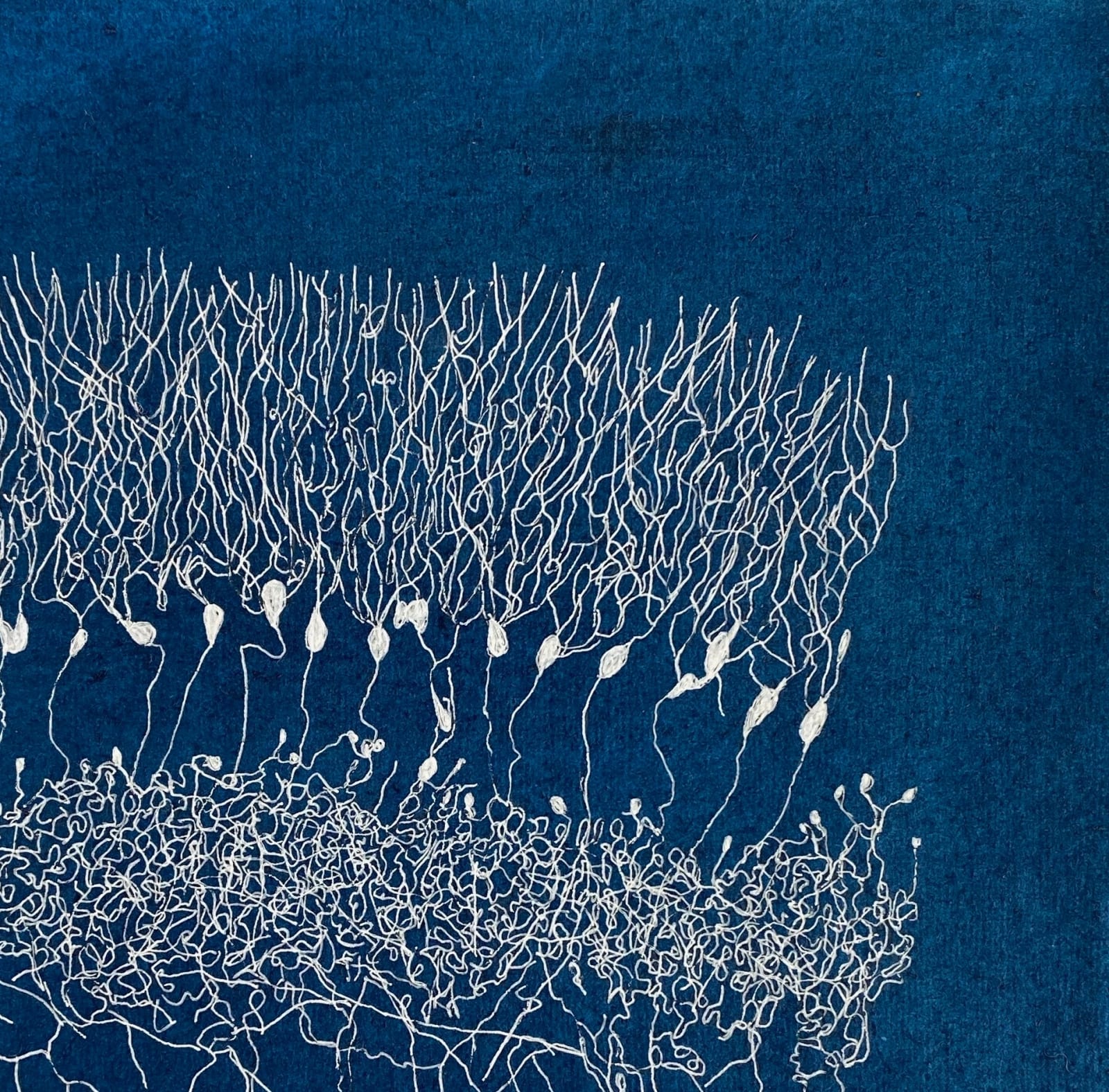 Eilis O'Connell RHA, Endless Possibilities, 2021