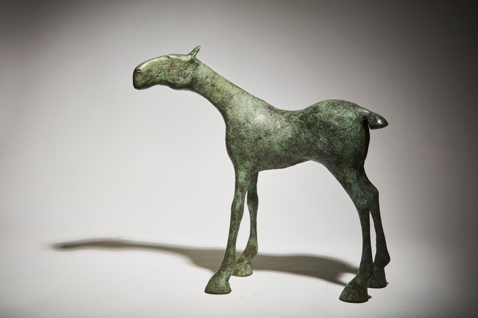 Anthony Scott RUA, Macha, 2024