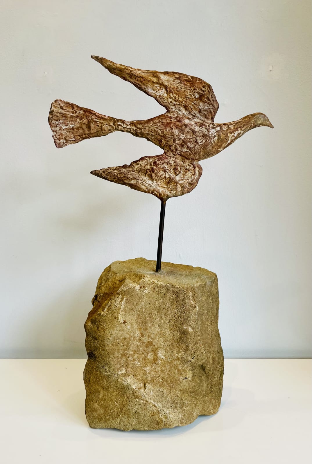 Cheryl Brown, Test Flight