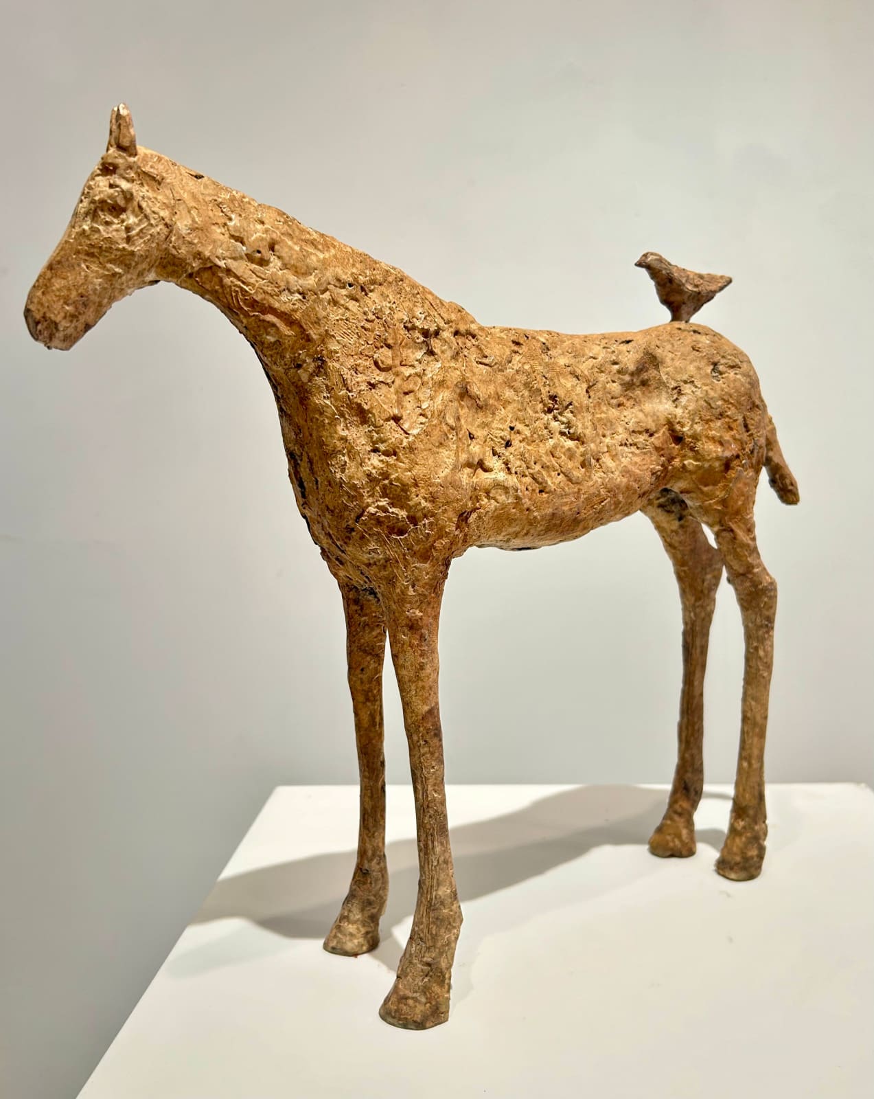 Cheryl Brown, Horse and Bird
