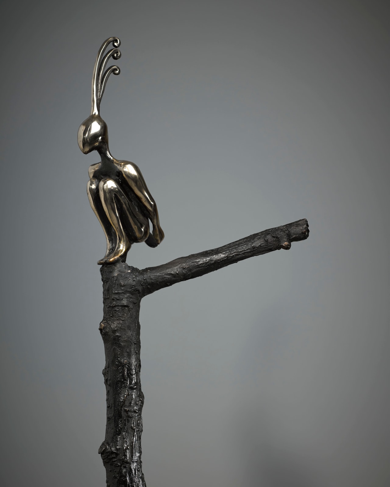 Orla de Brí, Aves Envy II