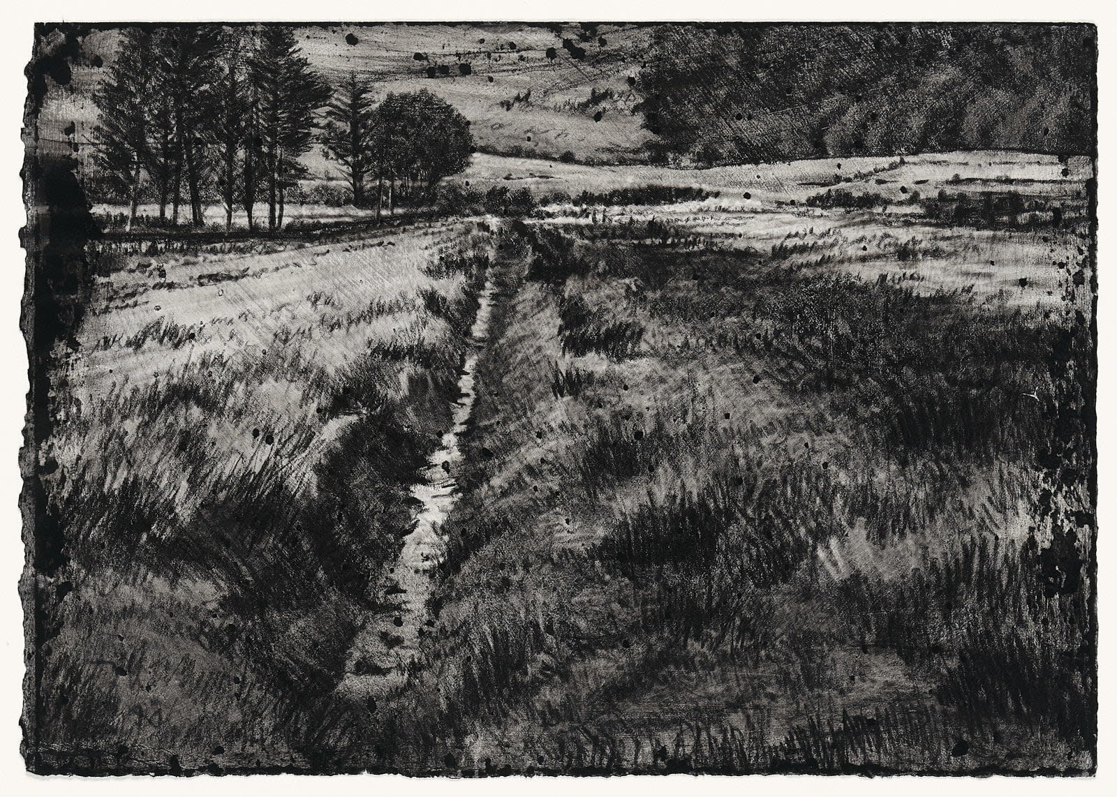 Michael Wann, Bogland Perspectives, 2021