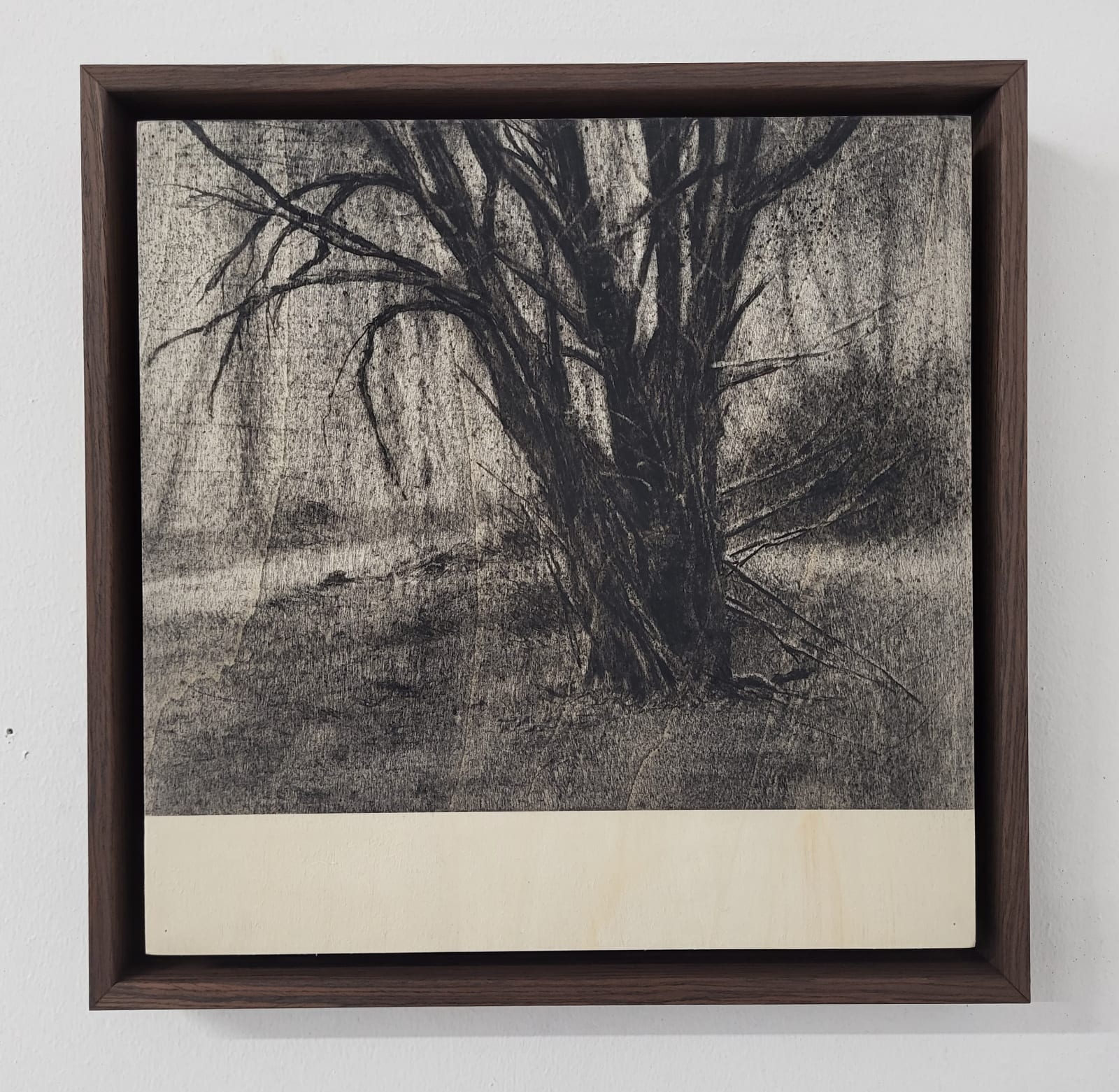 Michael Wann, Hazelwood Study, 2023