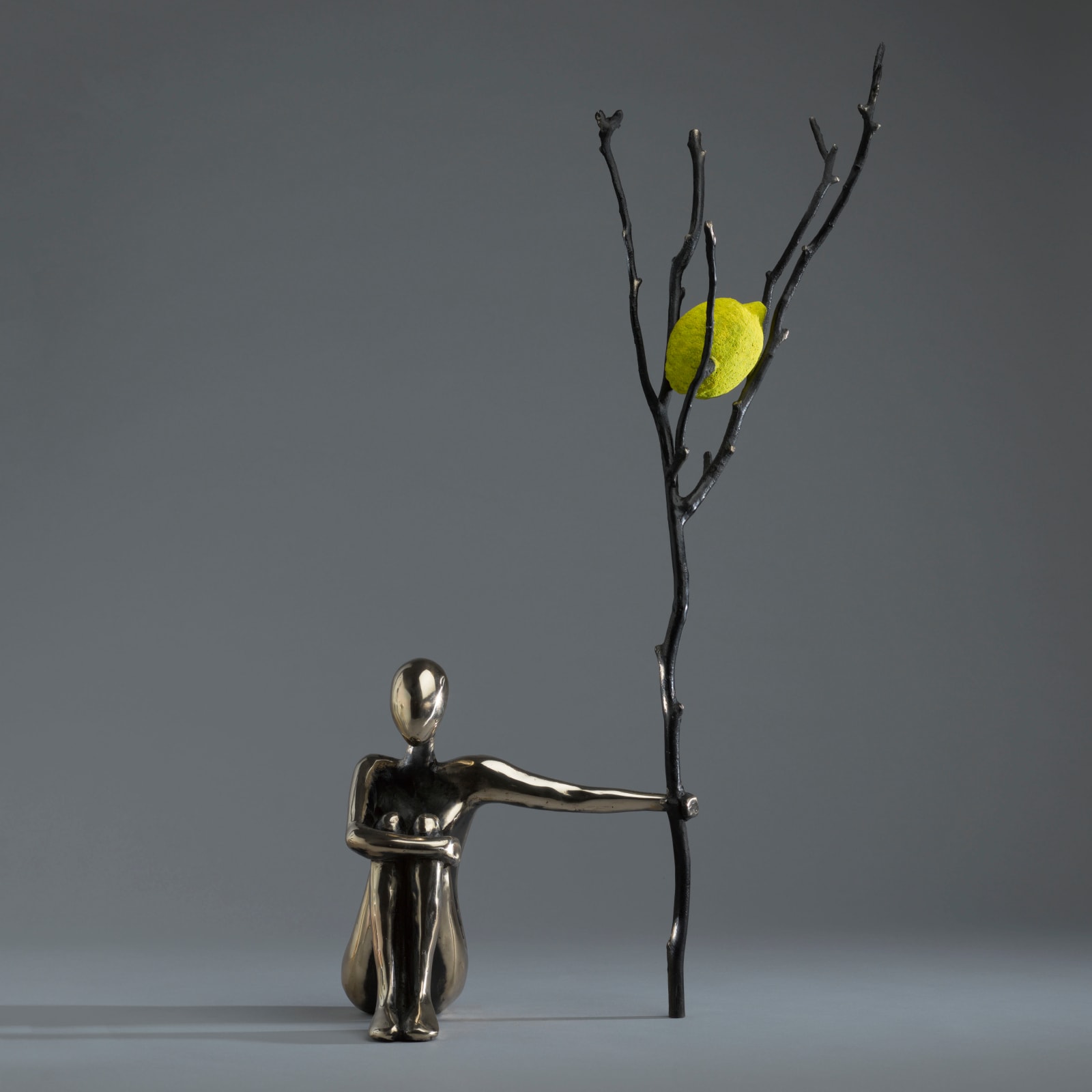 Orla de Brí, Supporting a Lemon Tree
