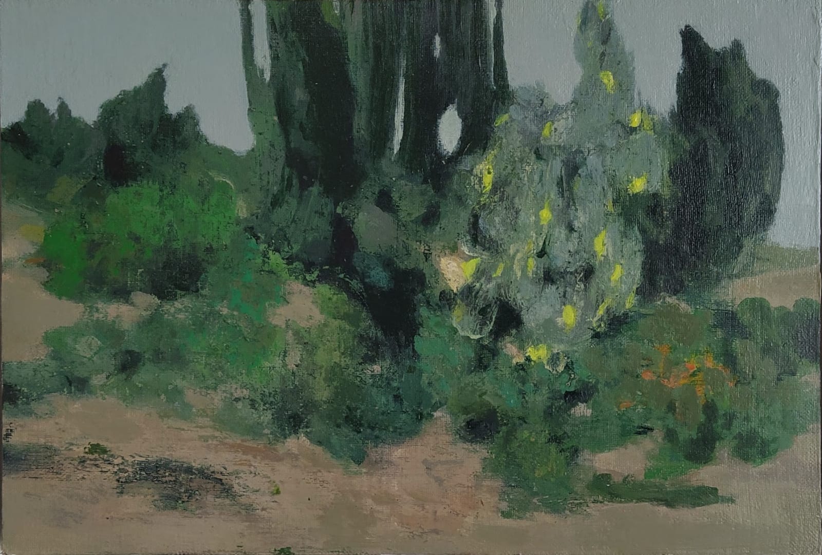 Clifford Collie, Monegros II, Spain