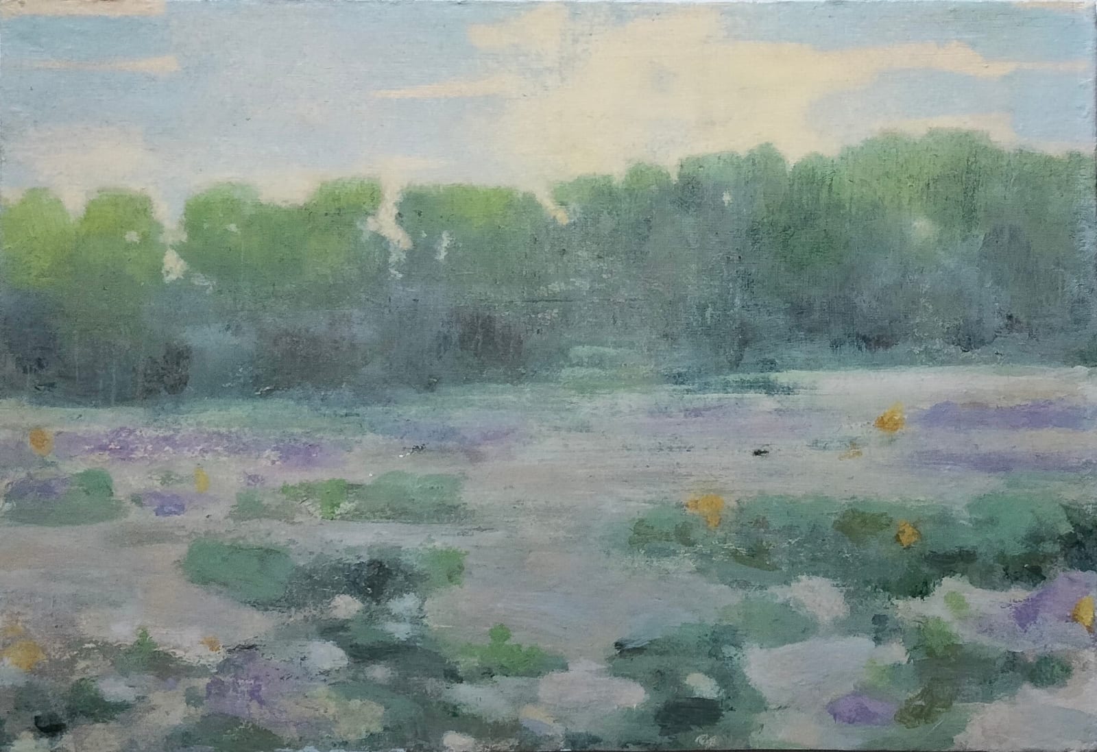 Clifford Collie, Field, 2024