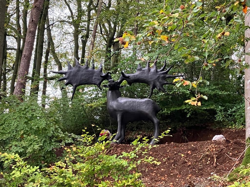 Anthony Scott RUA, Elk, 2022