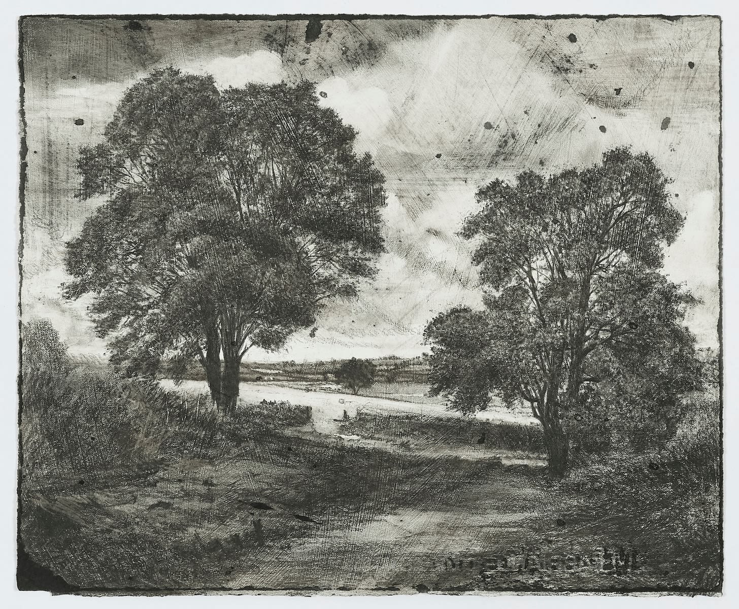 Michael Wann, A Tree for Constable, Cornfield, 2018
