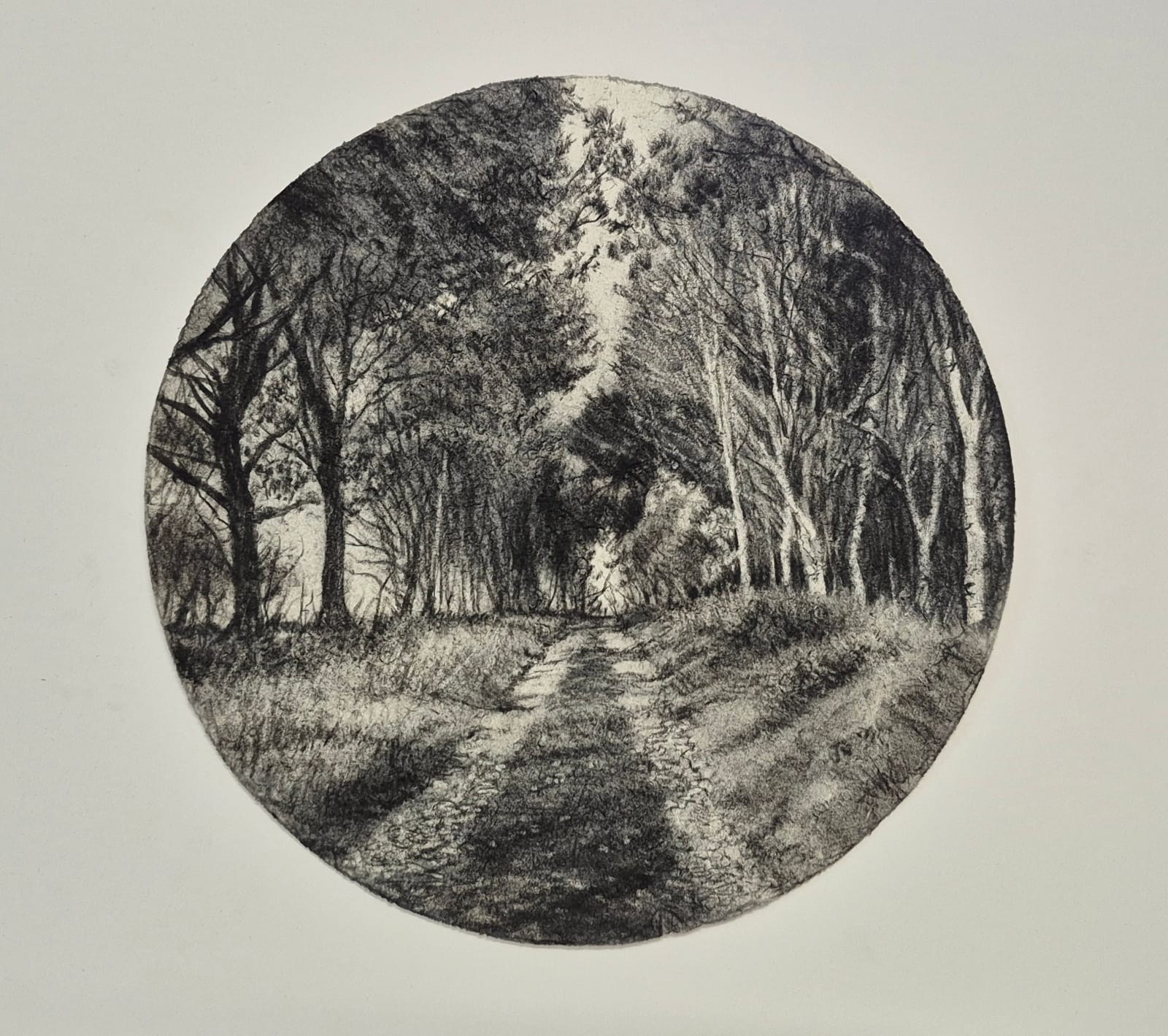 Michael Wann, Summer Avenue 4, 2025