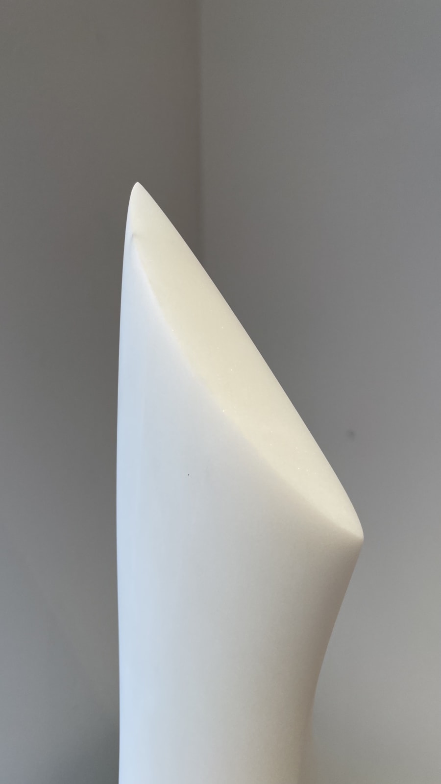 Eilis O'Connell RHA, Thornmorph