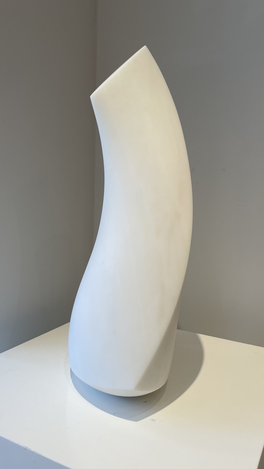 Eilis O'Connell RHA, Thornmorph