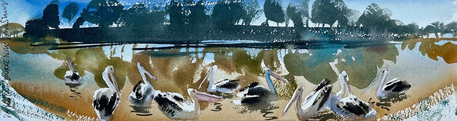 John Short, Pelicans on Darling River, NSW, Australia