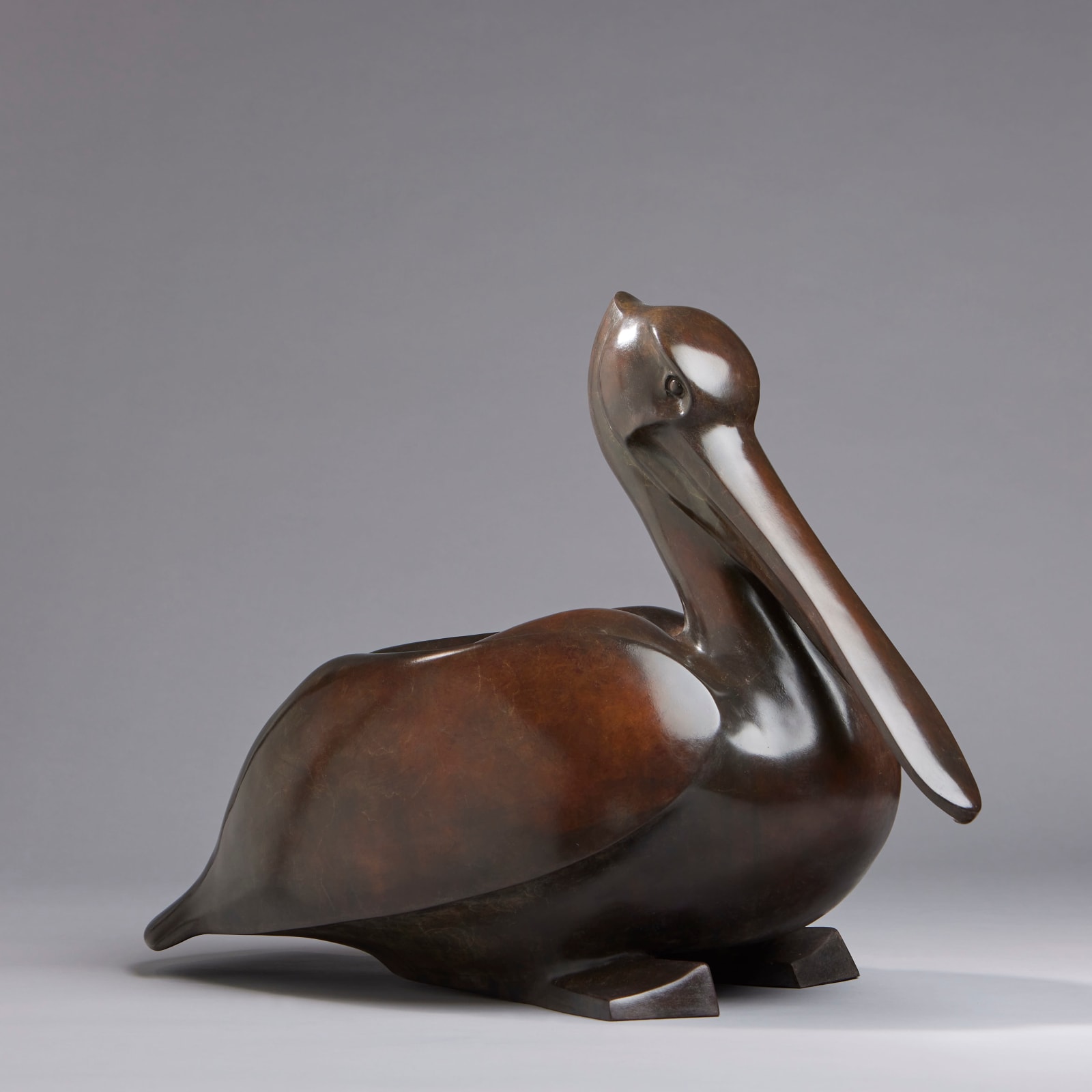 Peter Killeen, Pelican