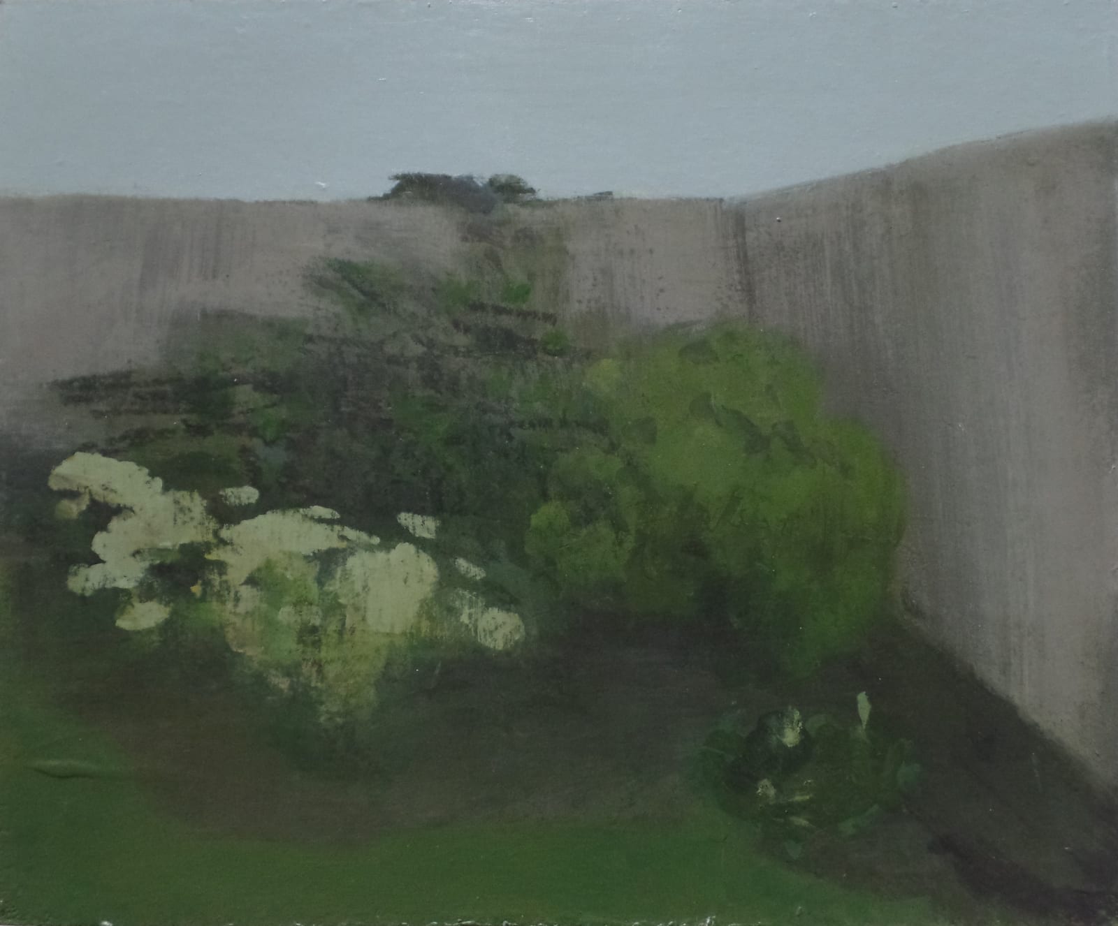 Clifford Collie, The Imagined Garden II
