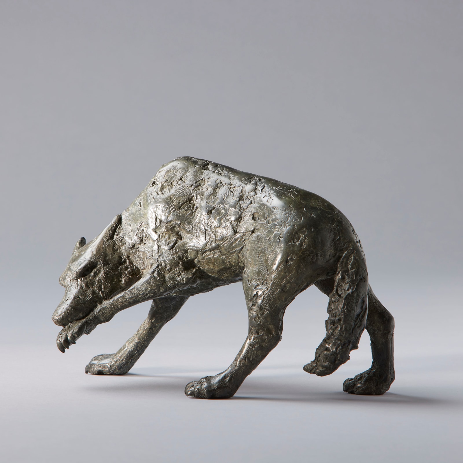 Peter Killeen, The Wolf That Bites its Paw