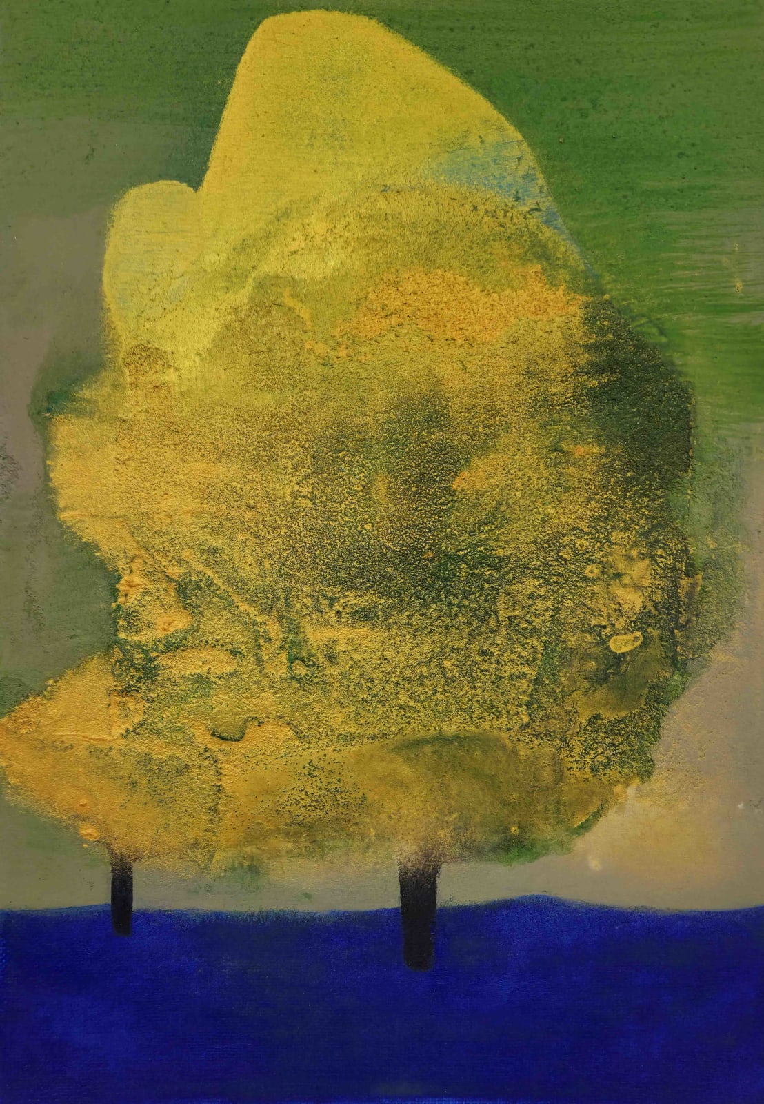 Tom Climent, Wisdom Tree