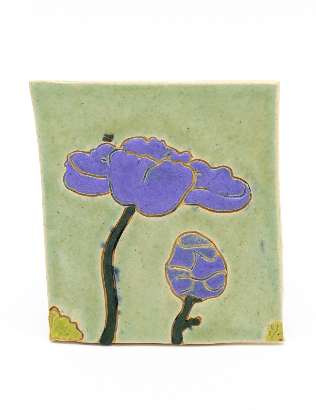 Kevin McNamee-Tweed, Time (Flower), 2023