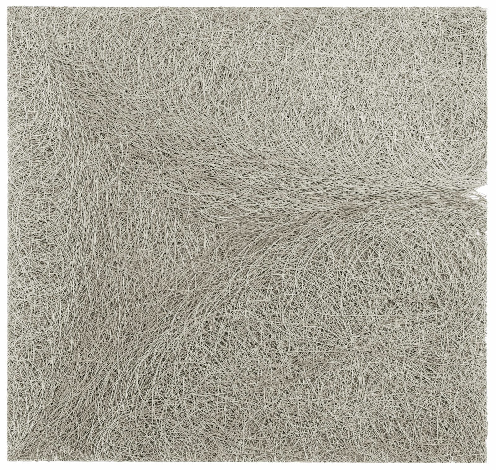 Adam Fowler, Trilogy 1, 2010