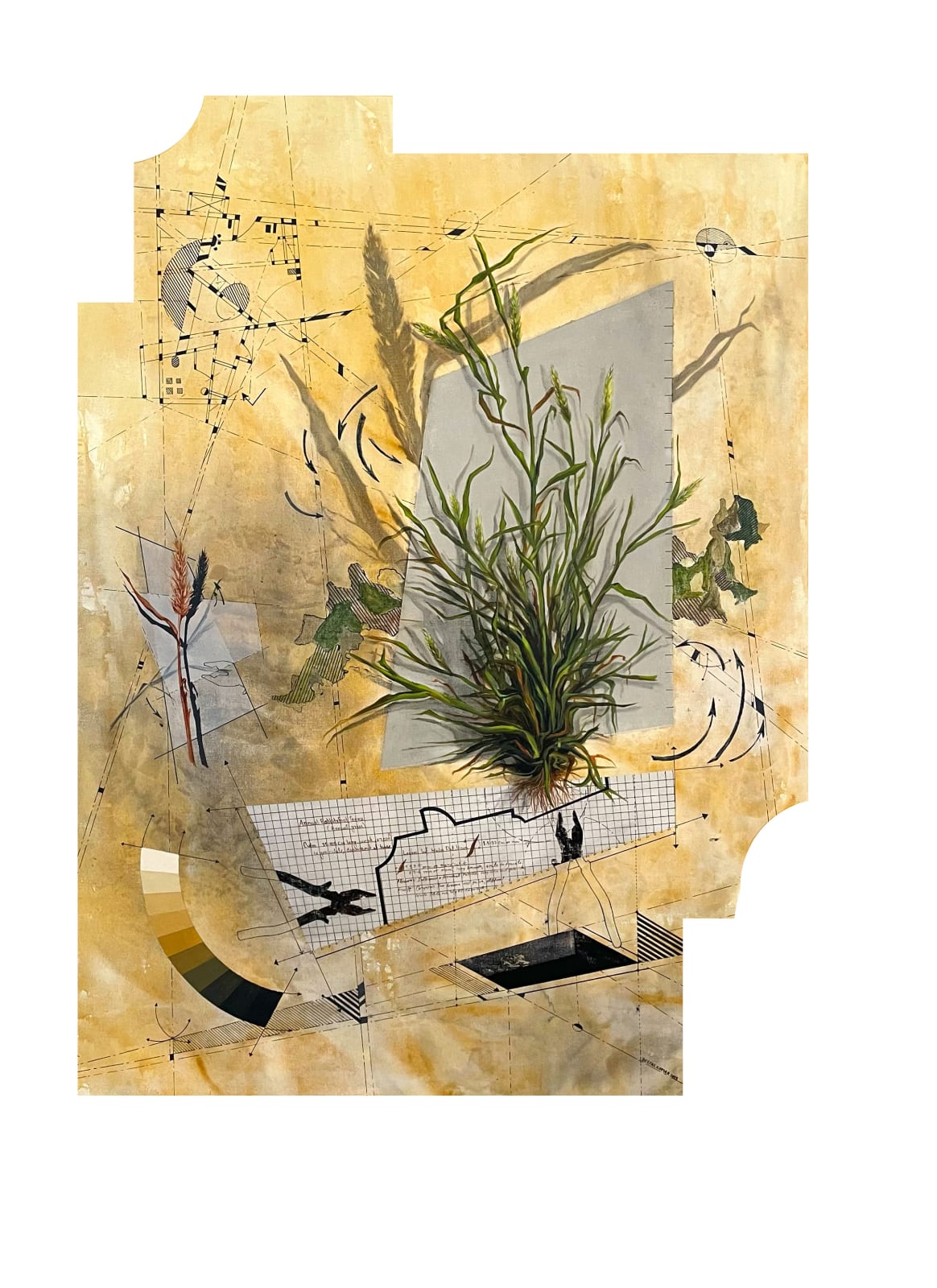 Deepak Kumar, Native Grassland-III (Commission), 2023