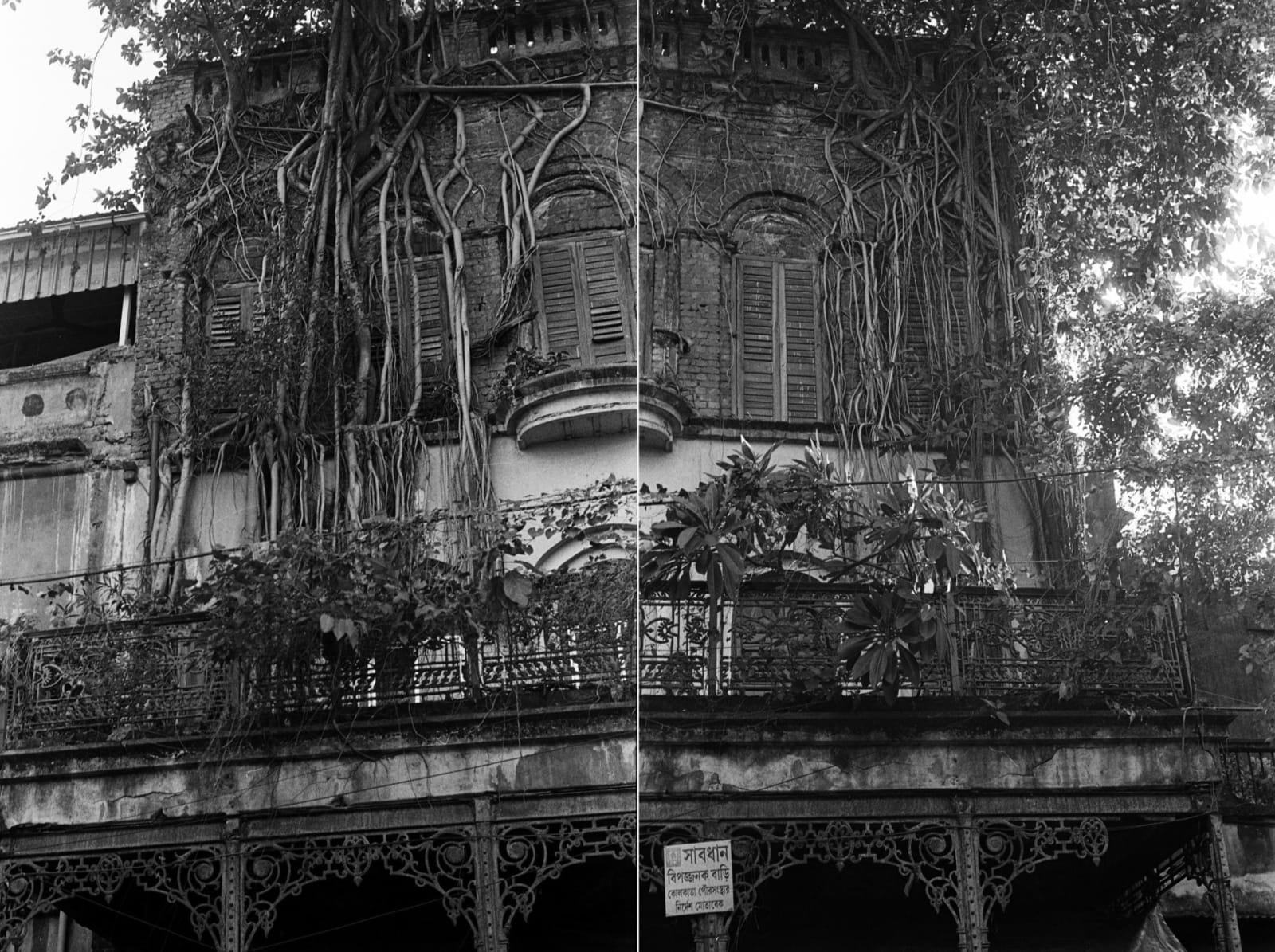 Soham Gupta, Eden Series III, 2019