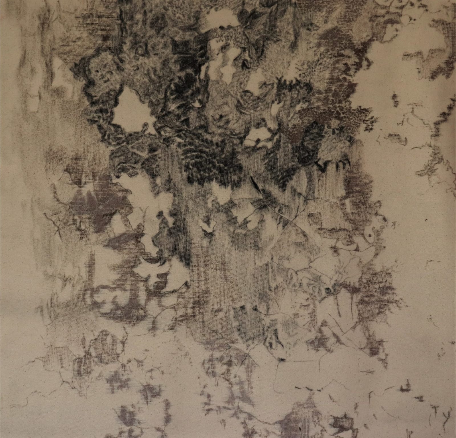 Riddhi Patel, Walls in Monsoon, 2018