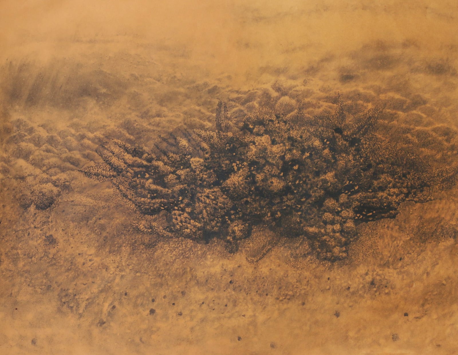 diptej Vernekar, Untitled 1