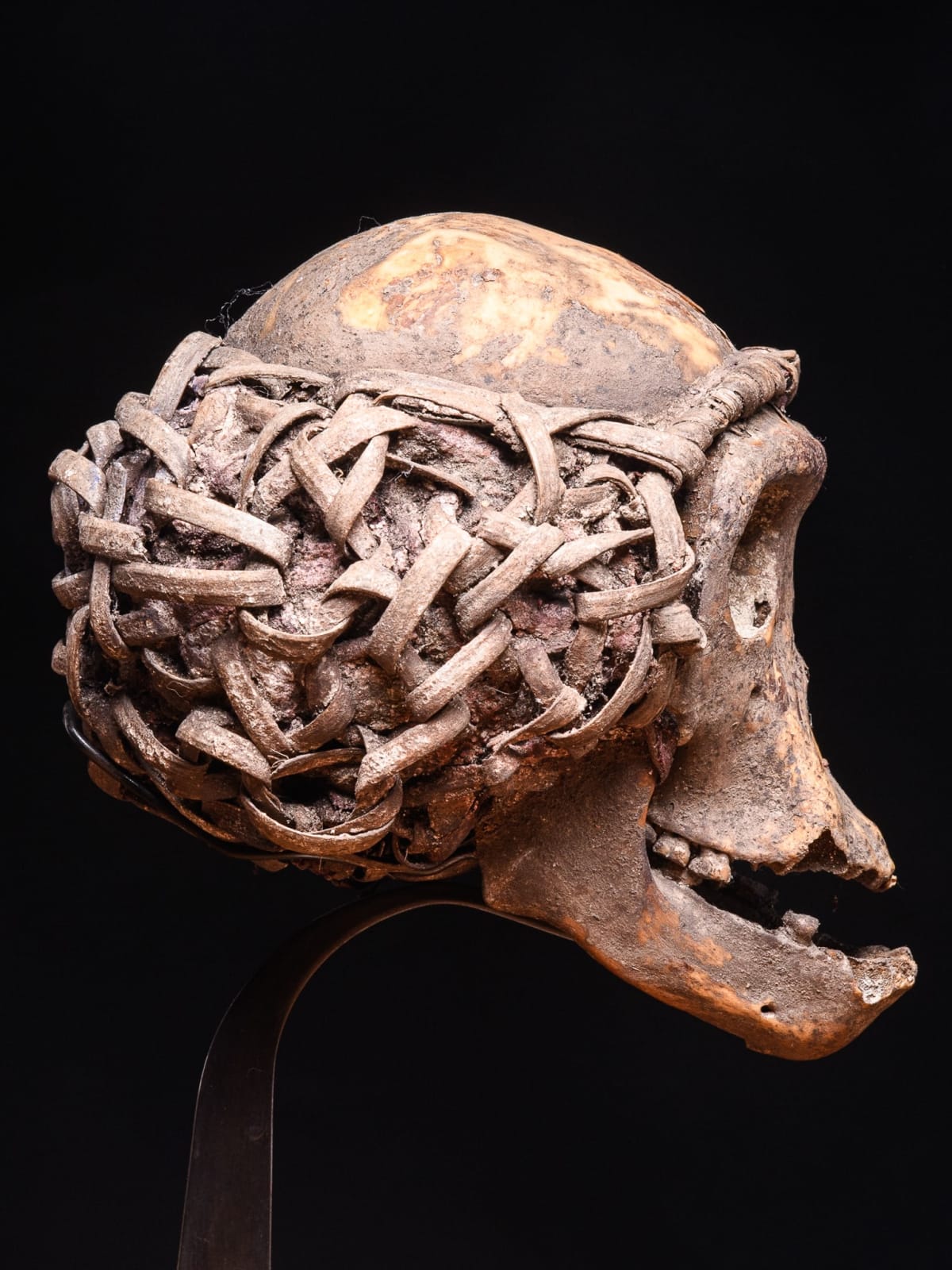 Igbo Ceremonial Baboon Monkey Skull, Nigeria, 1st half 20th Century