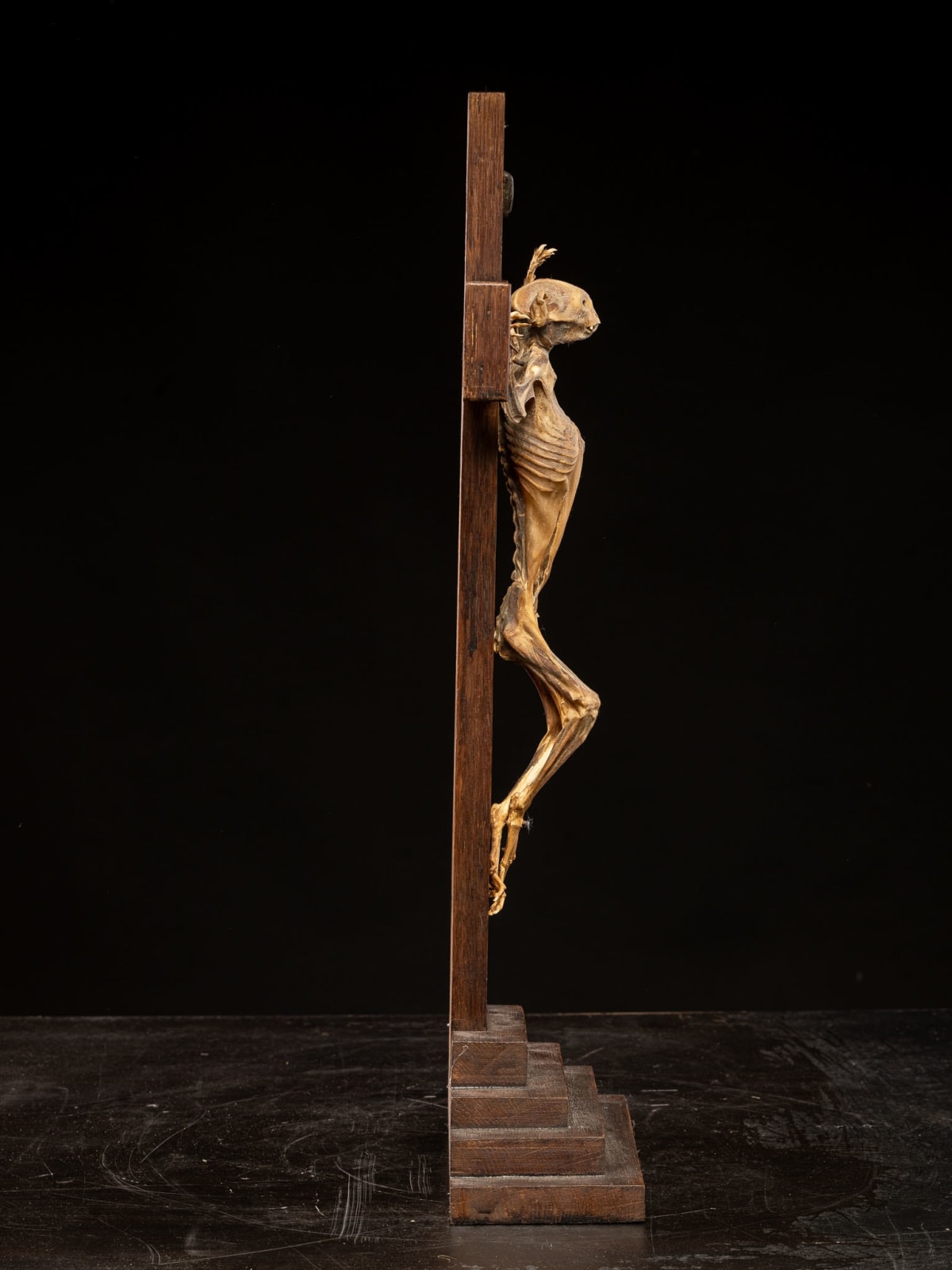 Mummified Primate on a Cross, Europe, 20th C