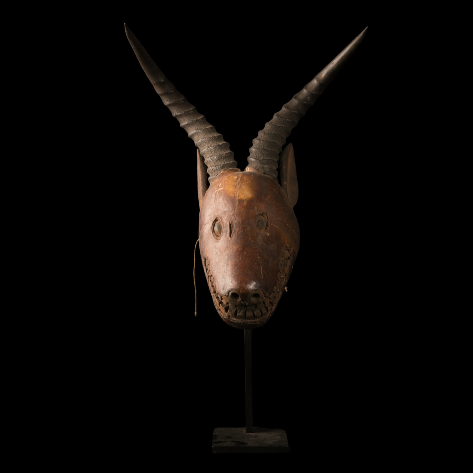 Ejagham skincovered Antilope Crest Mask, 1st half 20th Century
