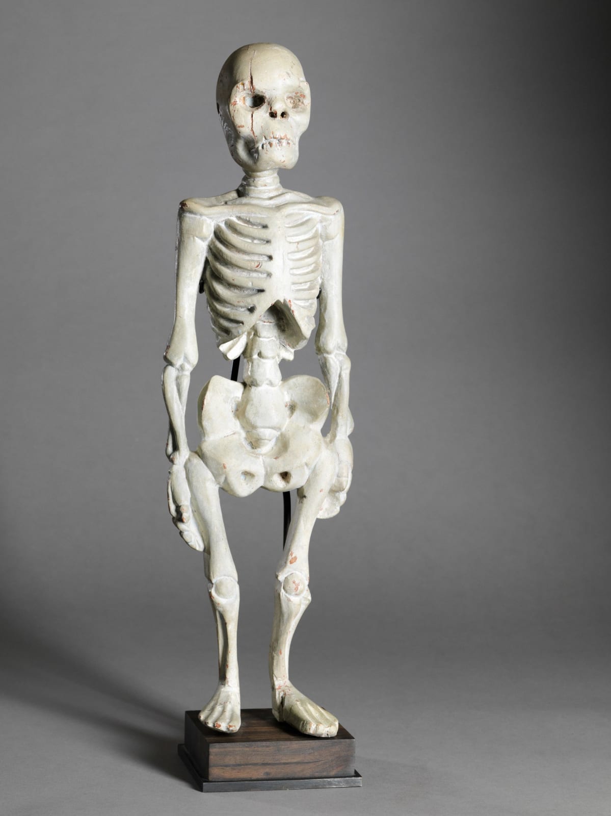 Standing Human Skeleton in Wood, South East Asia, early 20th Century, 1st half 20th Century