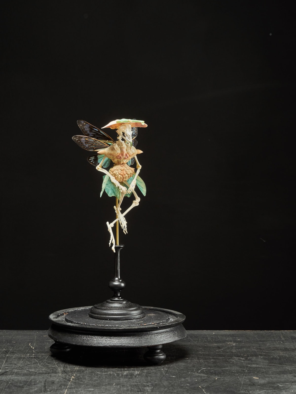 Extraordinary Chimera Composistion under Glass Globe, 21st