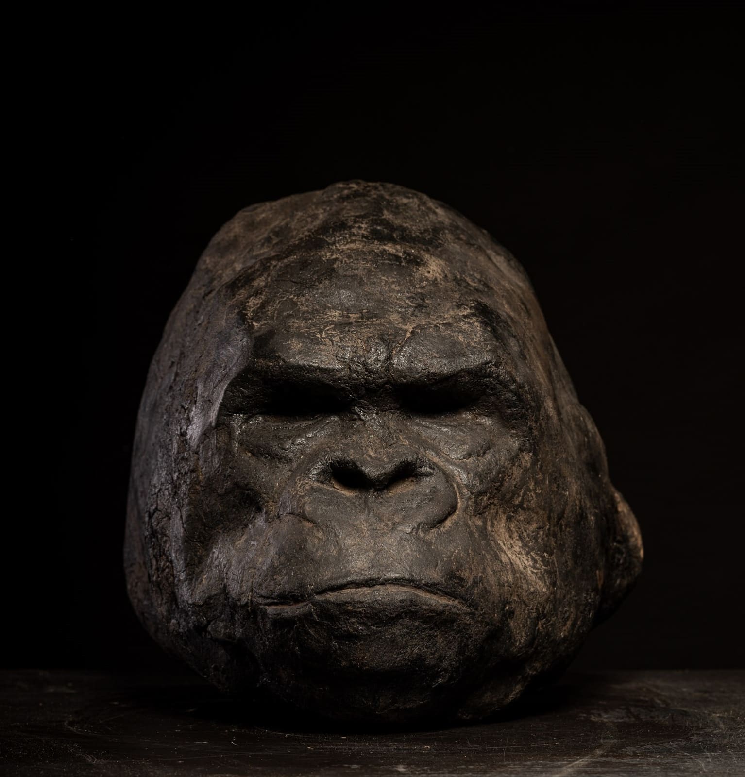 Sculpted Gorilla Head in burned Clay.,