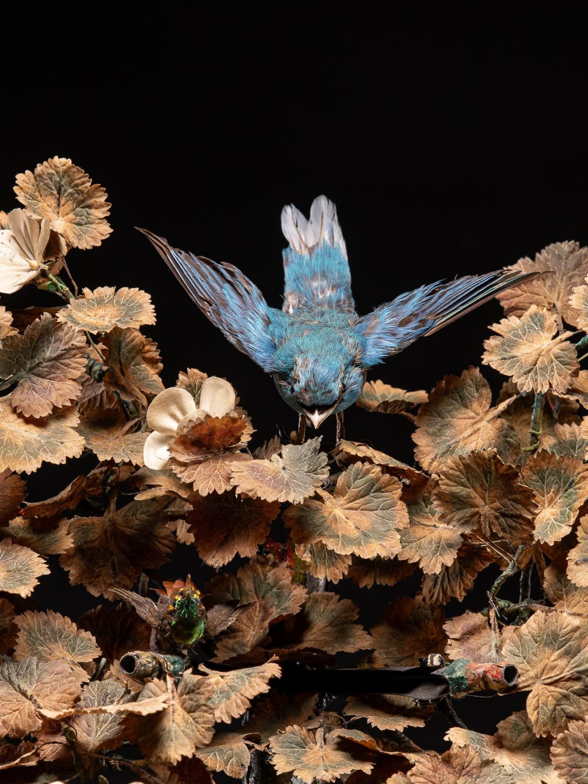 Blaise Bontems Musical Automaton Singing birds and Clock under glass dome., 19th Century