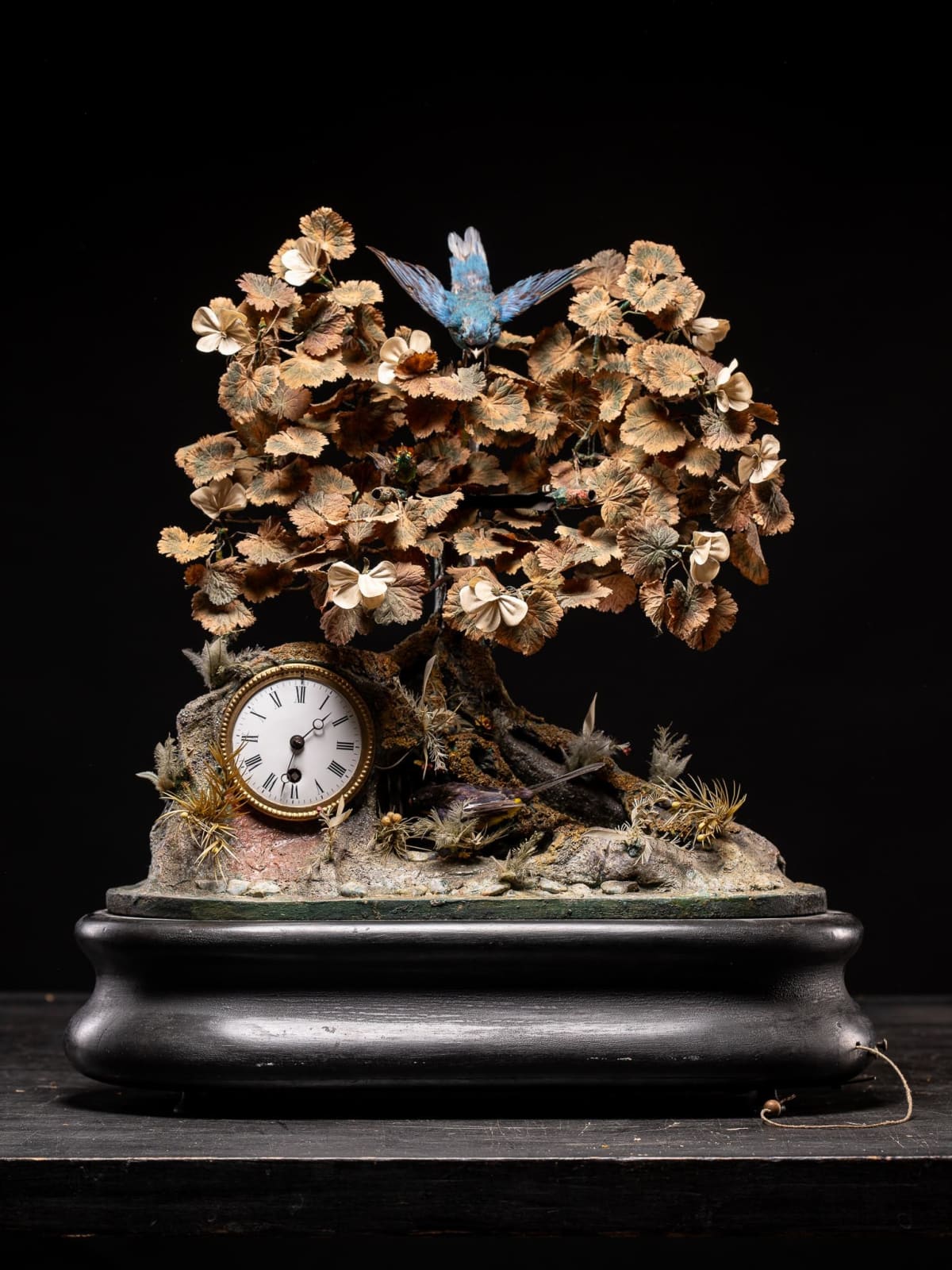 Blaise Bontems Musical Automaton Singing birds and Clock under glass dome., 19th Century