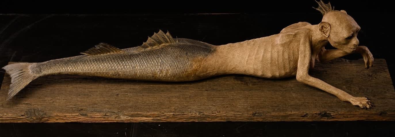 Fidji Mermaid, Atlantis., 21st C