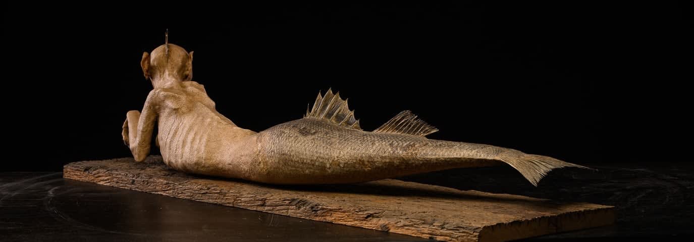 Fidji Mermaid, Atlantis., 21st C