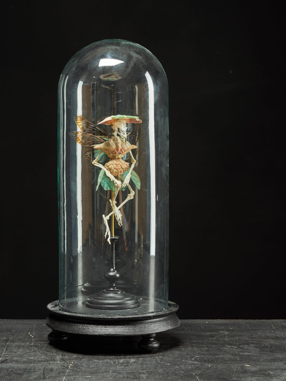 Extraordinary Chimera Composistion under Glass Globe, 21st