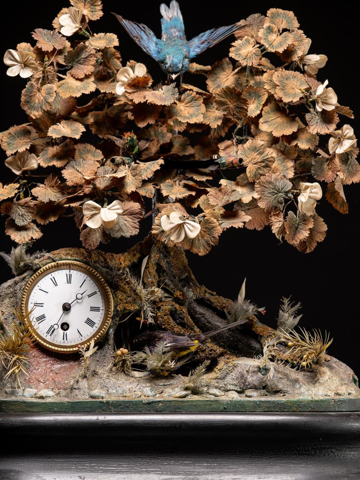 Blaise Bontems Musical Automaton Singing birds and Clock under glass dome., 19th Century