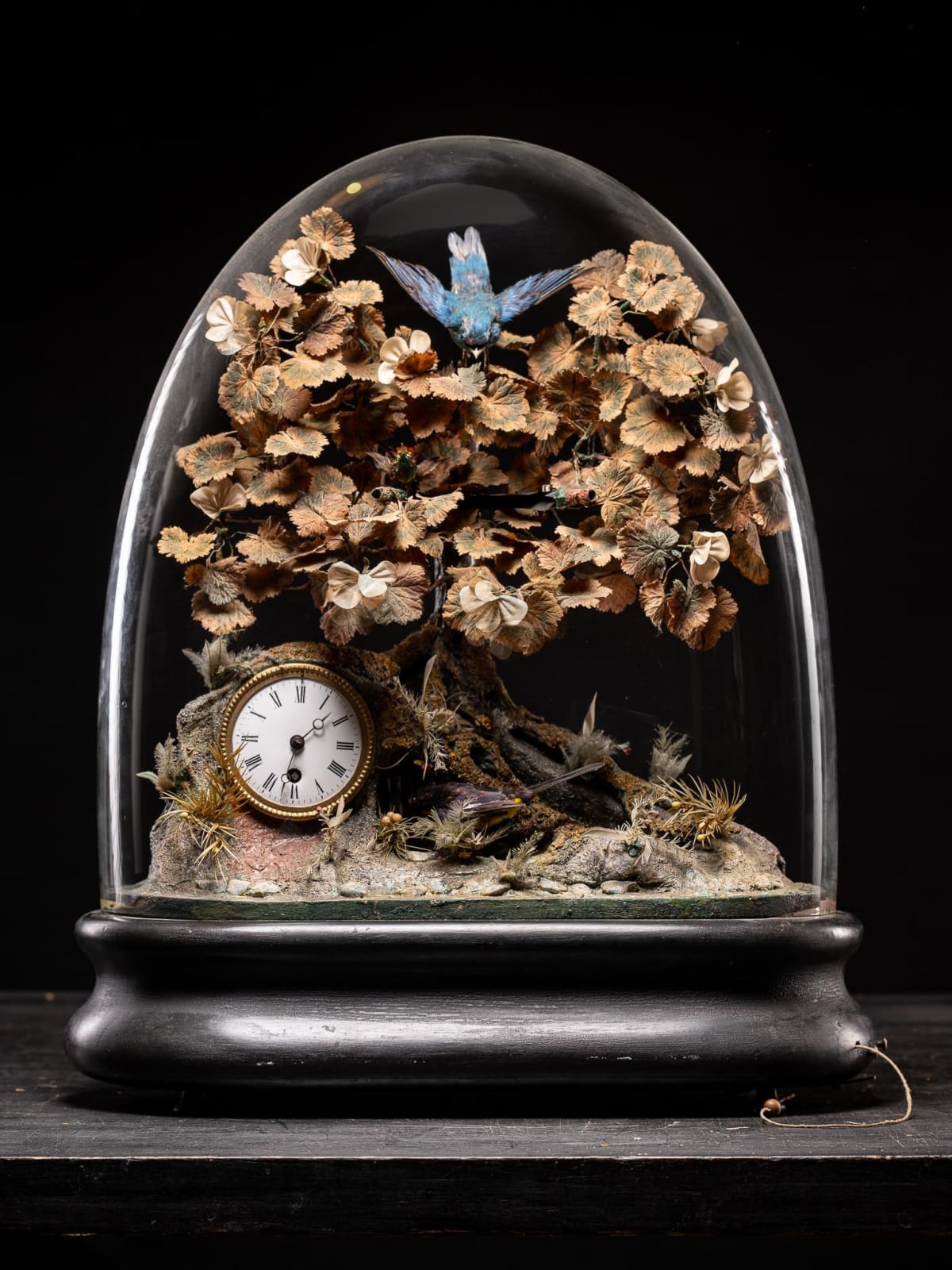 Blaise Bontems Musical Automaton Singing birds and Clock under glass dome., 19th Century