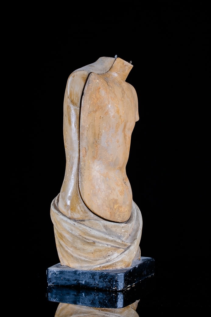 Anatomical Didactic Model of a Torso with Removable Organs by Franz Jozef Steger and Prof. Wilhelm His, 19-20th Century