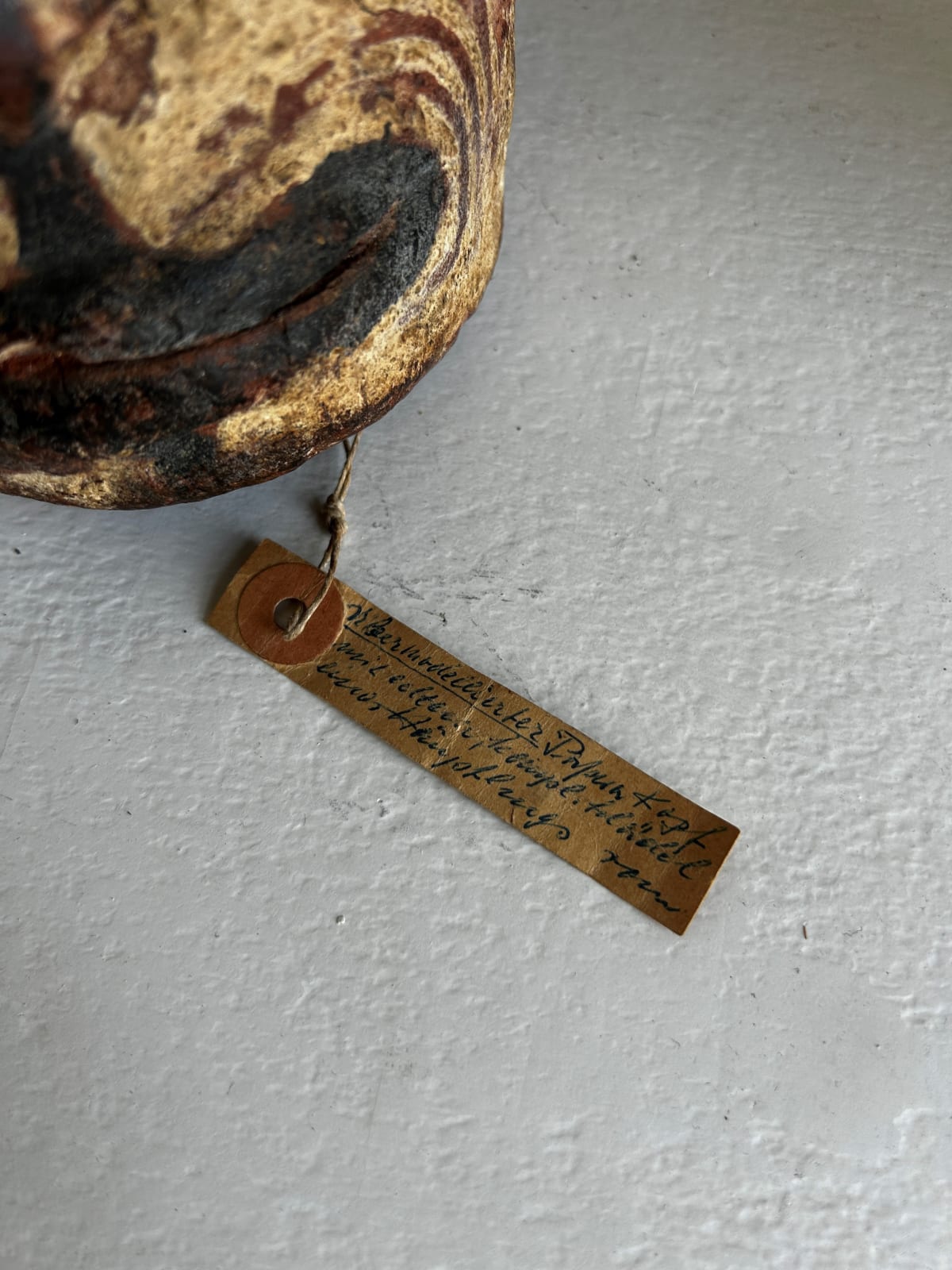 An important overmodeled head collected in the village of Kaningra/ Kaningira before 1914, Iatmul People, Middle Sepik, Papua-New-Guinea., 1st half 20th C