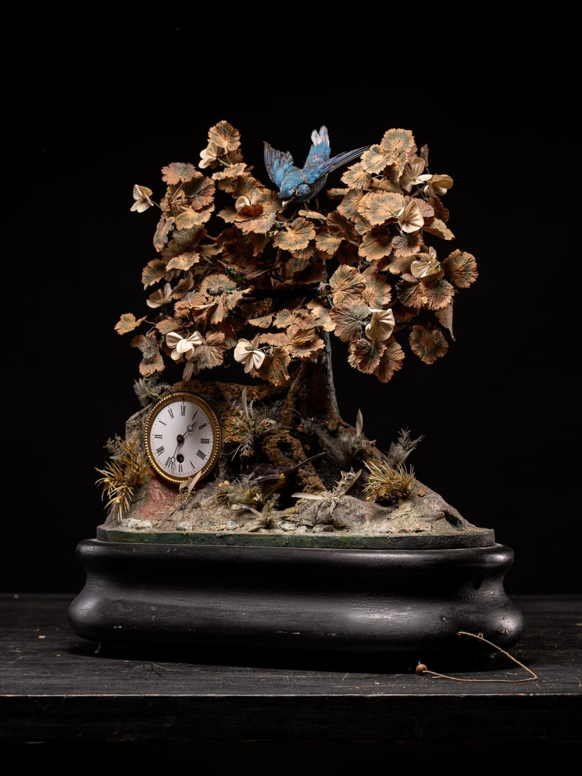 Blaise Bontems Musical Automaton Singing birds and Clock under glass dome., 19th Century