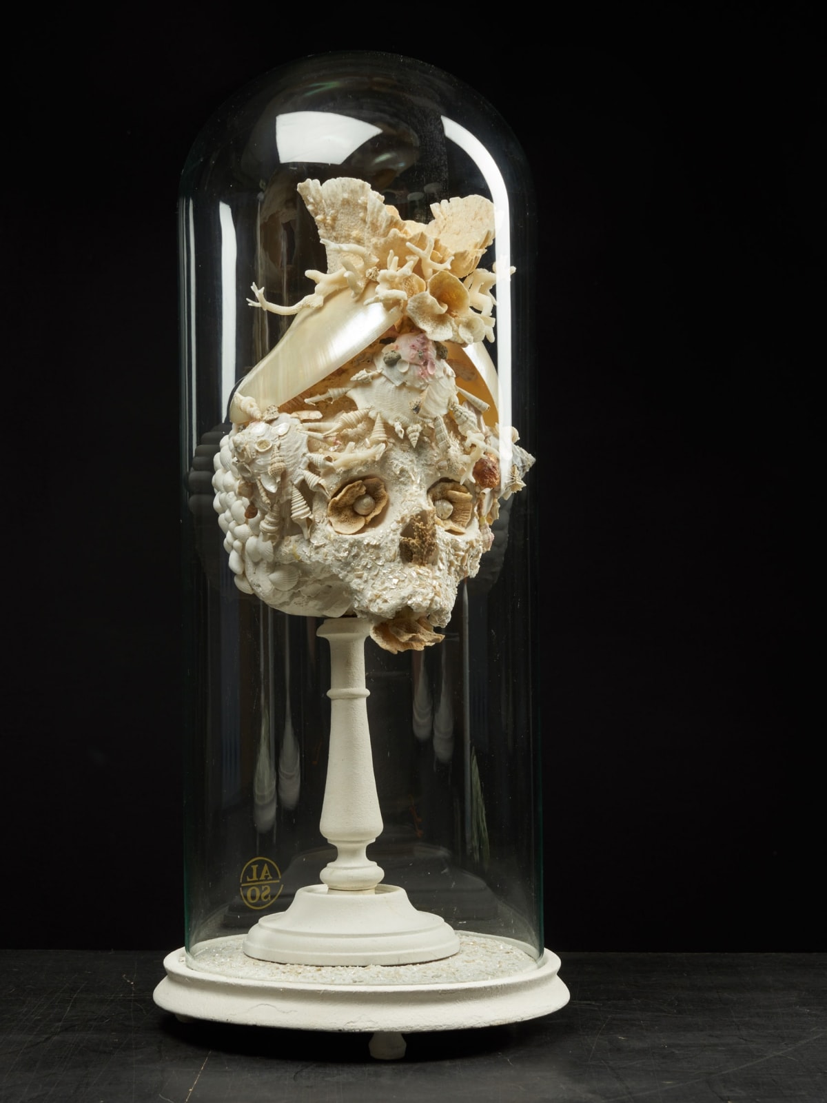 Shell Sculpture of Fantastic Head on museum stand, 21st